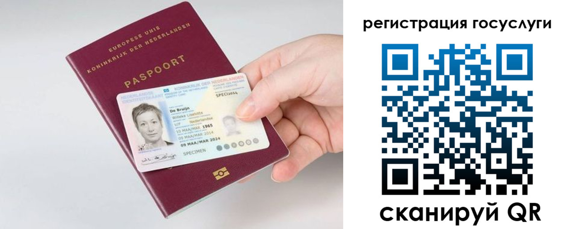 регистрация для дет. сада в Ейске